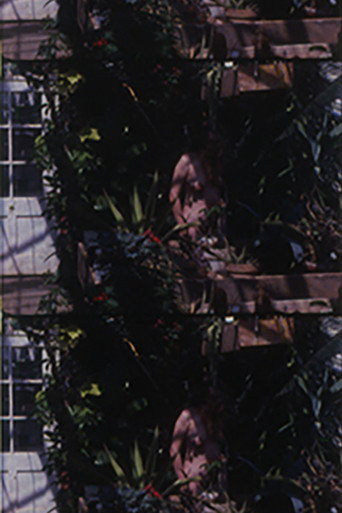 Adam Went On To Till the Soil... But What Happened to Eve?