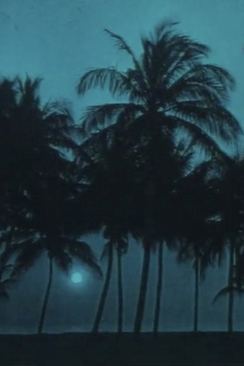 Navigazione sul nilo (anni dieci)