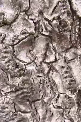 Ecosystem 16 ~ Geoid