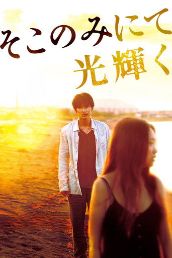 The Light Shines Only There