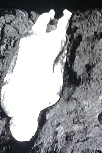 Naissance