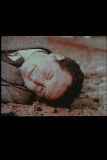 Vida, pasión y muerte de un realizador iracundo