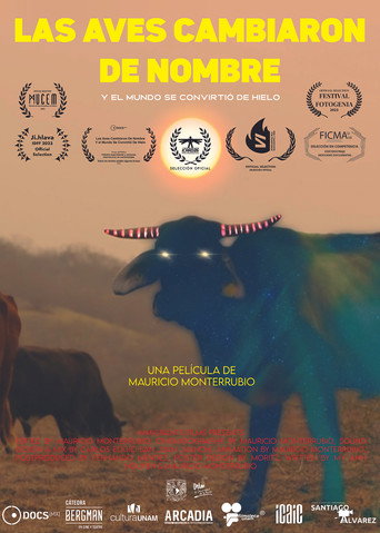 The Birds Changed Names And The World Turned Into Ice