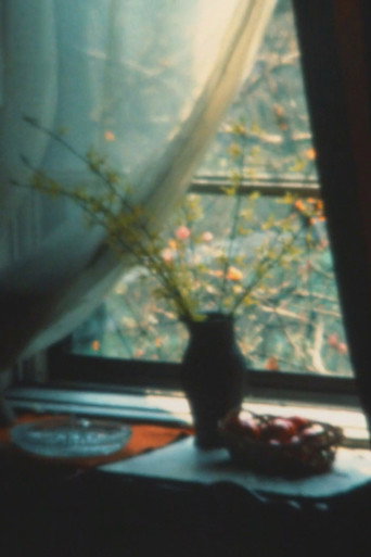 Super 8 Diary - 1985