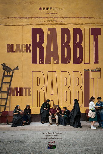 Black Rabbit, White Rabbit