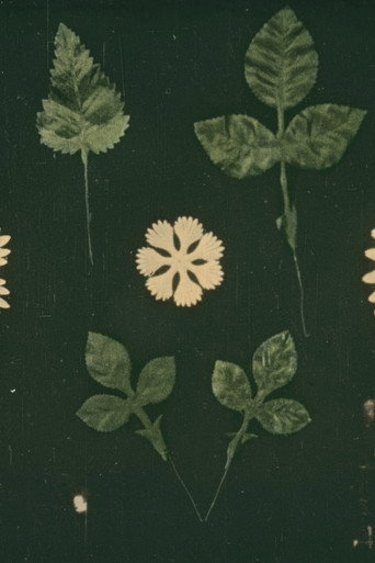 The Manufacture of Artificial Flowers