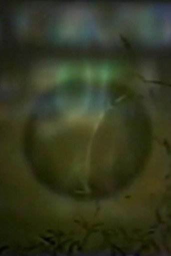 Up to West House Alone