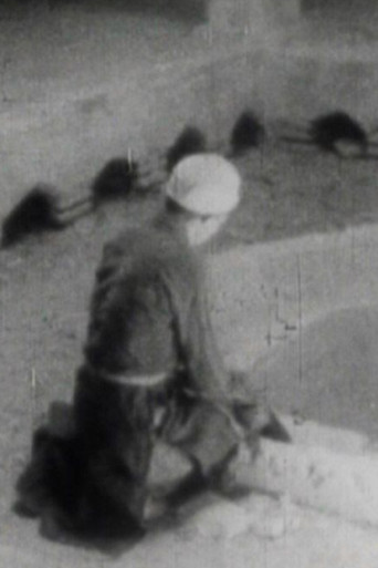 From Isfahan to Abarkooh