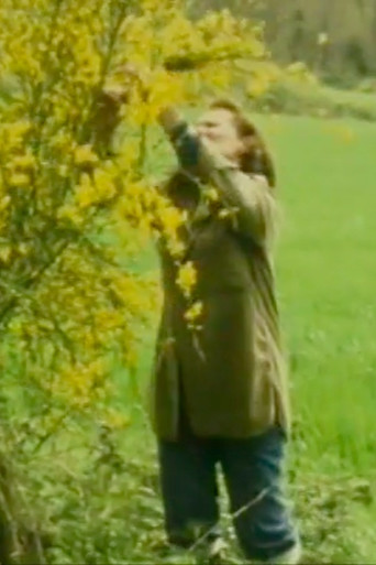 Gisรจle Jan-Simon, mirror and fairy