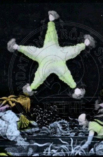 A New Way of Traveling