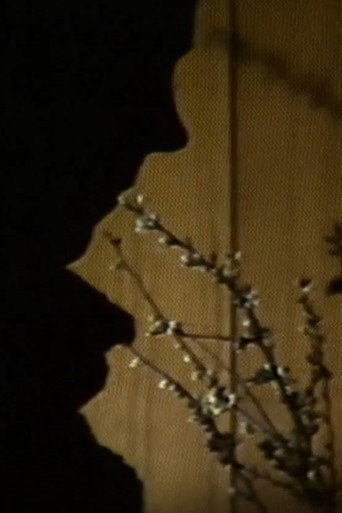 Il buio
