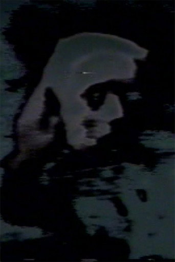 Pictures of the Lost