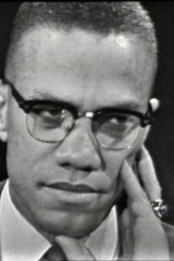The Negro and the American Promise