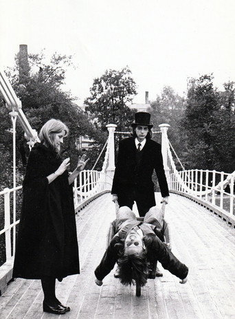 Mannen med fuglehjernen