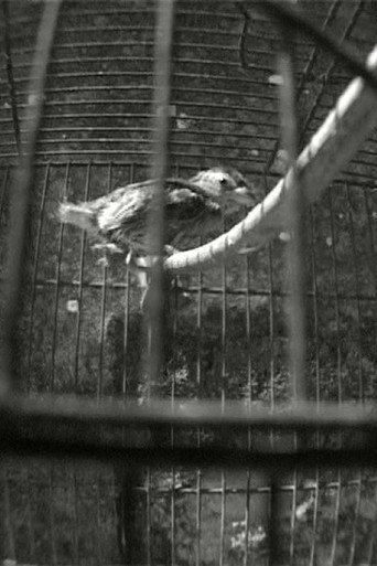 Spectrum WK (Spectrum #3)