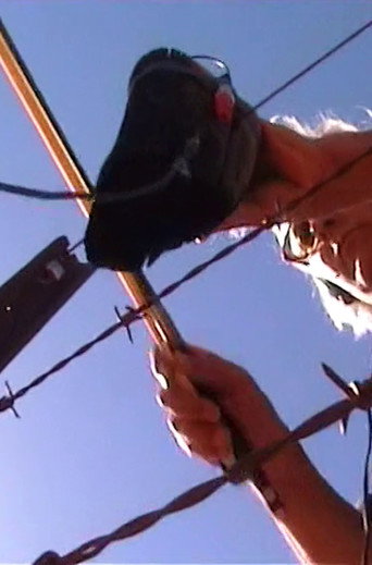 Two Desert Performances