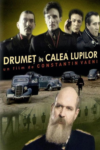 Drumeศ รฎn calea lupilor