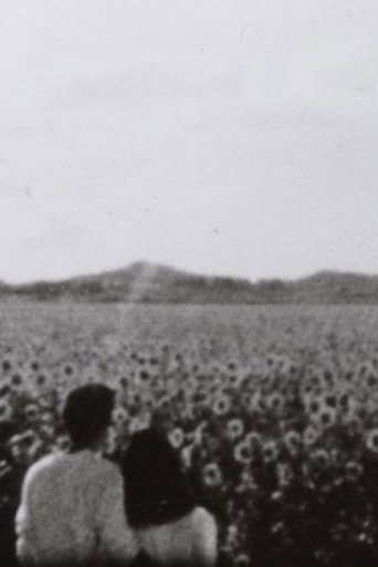 ひまわりのテーマ