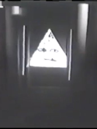 Quelques activities de Christian B.