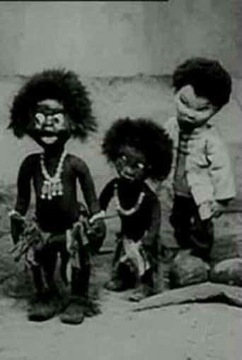 The Adventures of the Little Chinese