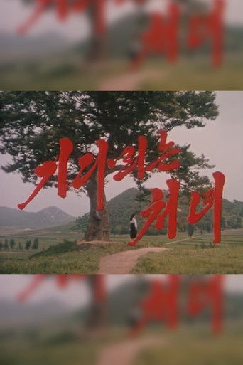 The Long Awaited Girl