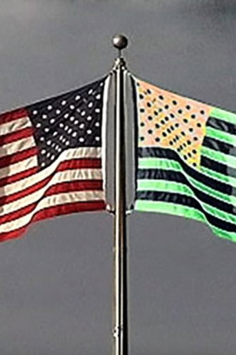 Flag and Its Shadow