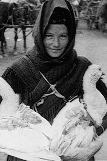 Travelogue of Hungary and Budapest