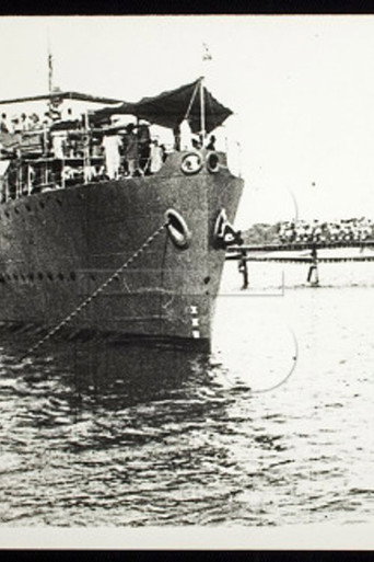 Fatos Históricos Do Tiro De Guerra 19 Rio Branco