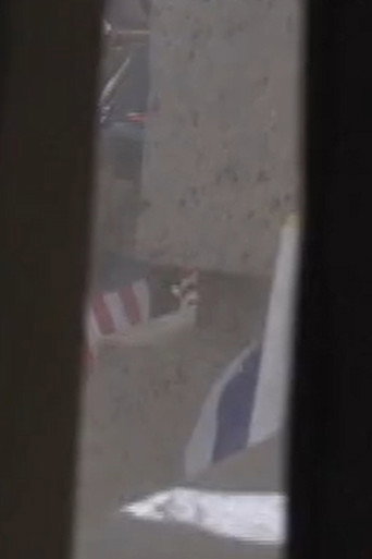 I'm a Pilot Like You