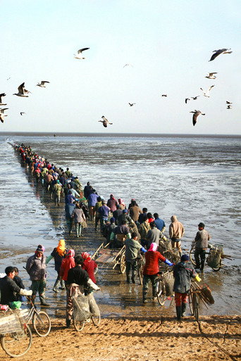 9-Kilometer Road in the Sea
