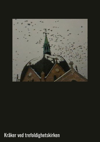 Crows at Trinity Church