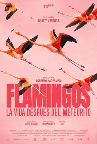 Flamingos: Life After the Meteorite