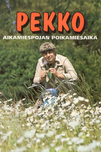 Pekko aikamiespojan poikamiesaika