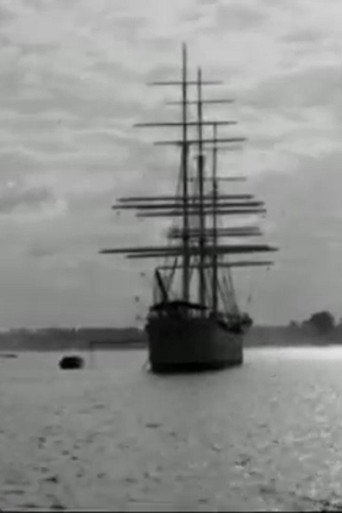 Antwerp in the Year '10