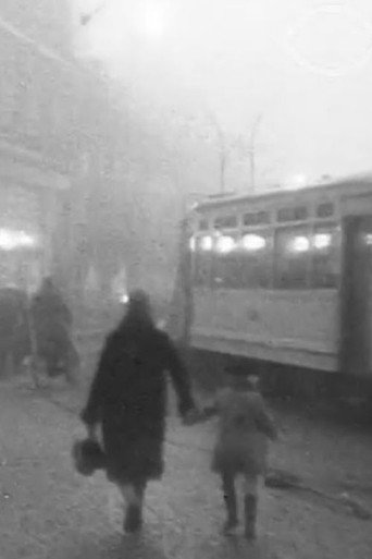 The Hague Electric Company