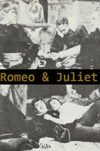 Romeo and Juliet, A Romantic Story of the Ancient Feud Between the Italian Houses of Montague and Capulet