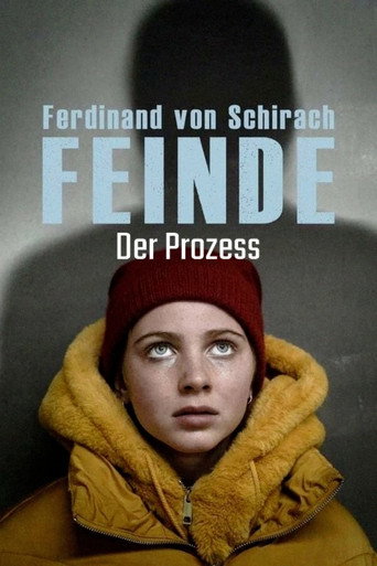 Ferdinand von Schirach: Feinde β Der Prozess