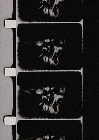 Studies in Image (de) Generation