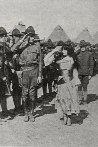 The Little Boy Scout