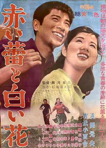 Red Bud and White Flower