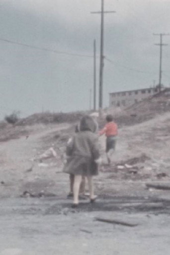 Hunters Point: A View from the Hill