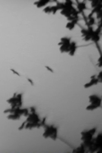 Points of Intersection