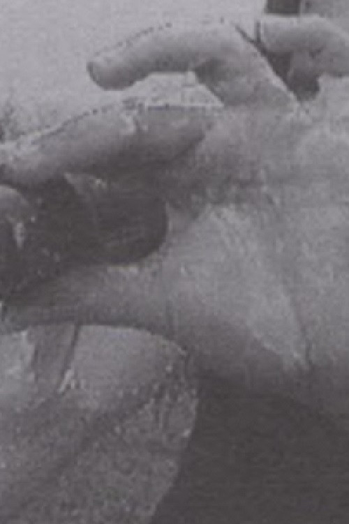 Luna 10 (The Butterfly Effect of Geography) Poster