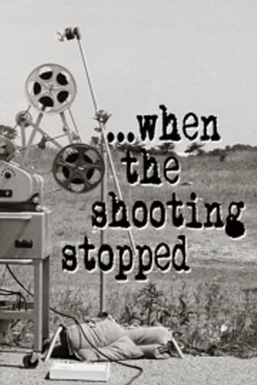 The Godfather: When the Shooting Stopped Poster
