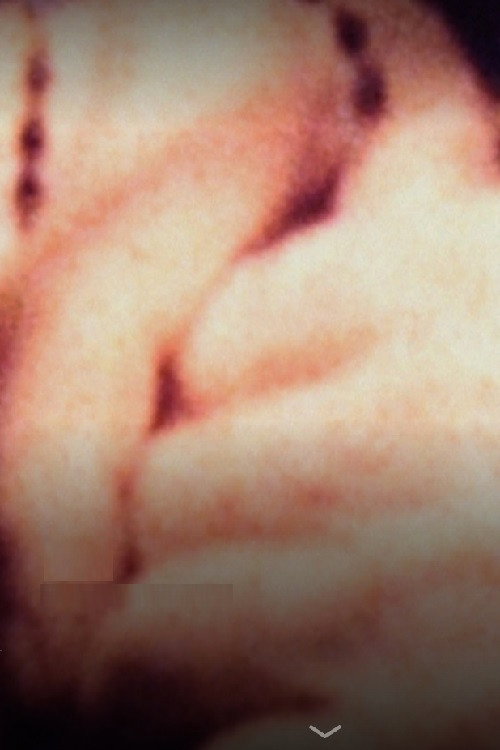 Death in the Family Poster