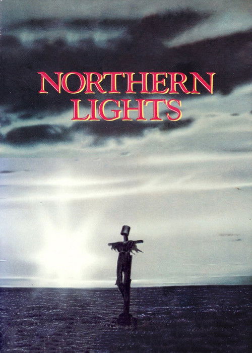 Northern Lights Poster