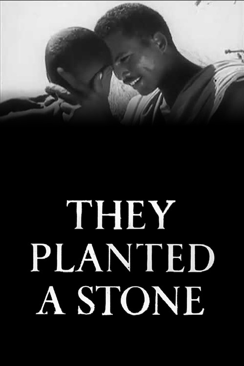 They Planted a Stone Poster