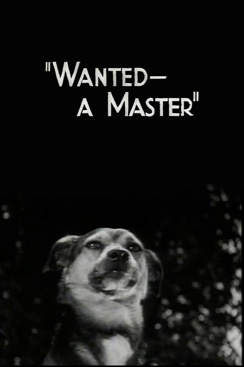 Wanted - A Master Poster