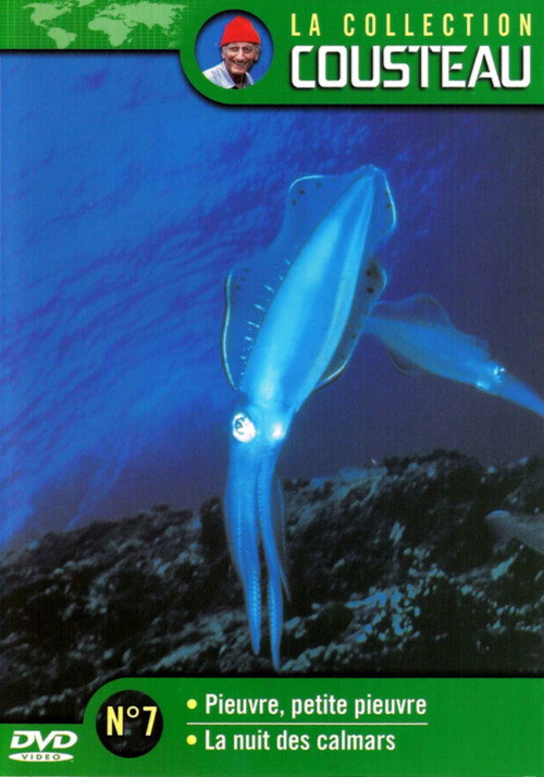 The Cousteau Collection N°7-1 | Octopus, Little Octopus Poster