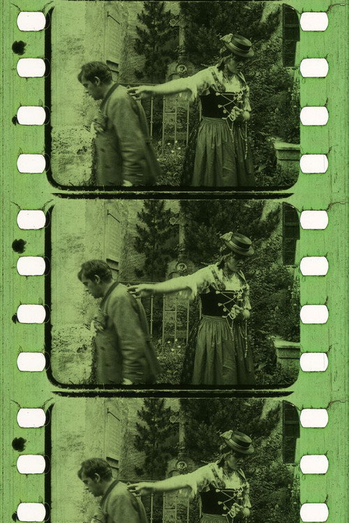 Der Sonnwendhof Poster